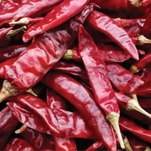 Guntur Chilli